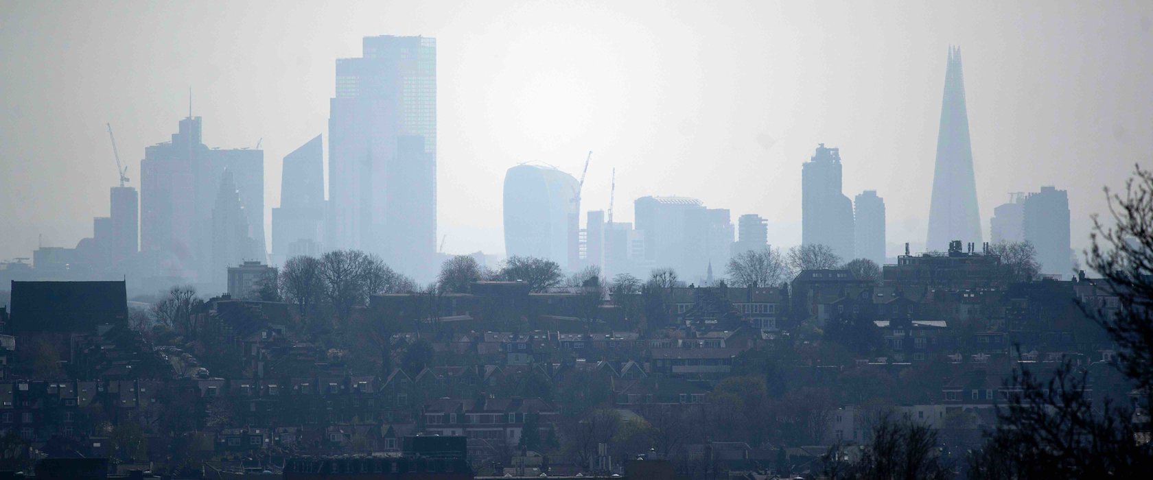 QF researcher: ‘COVID-19 has shown us how we can change - and protect our environment’