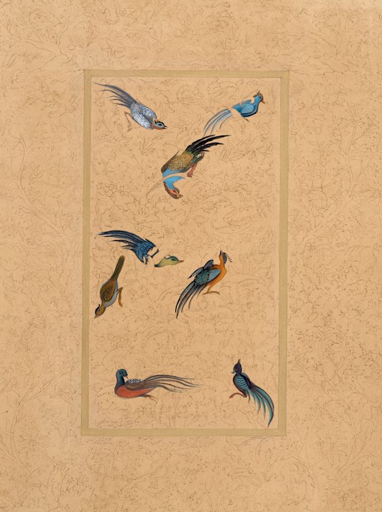 STO004 - Dr. Veeda Ahmed art exhibition at QF