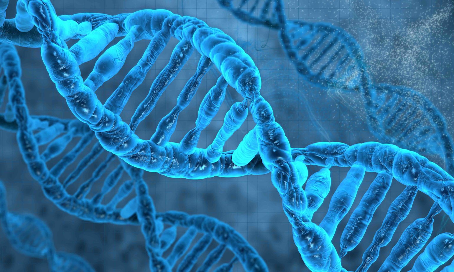 PC-Vitstudio - medical health - 03