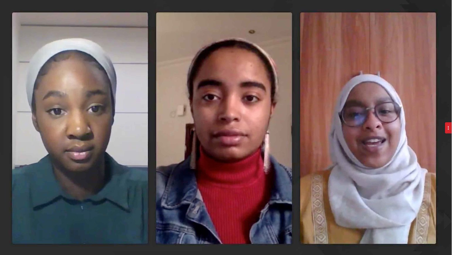 Caption 2 - BLM webinar screenshot