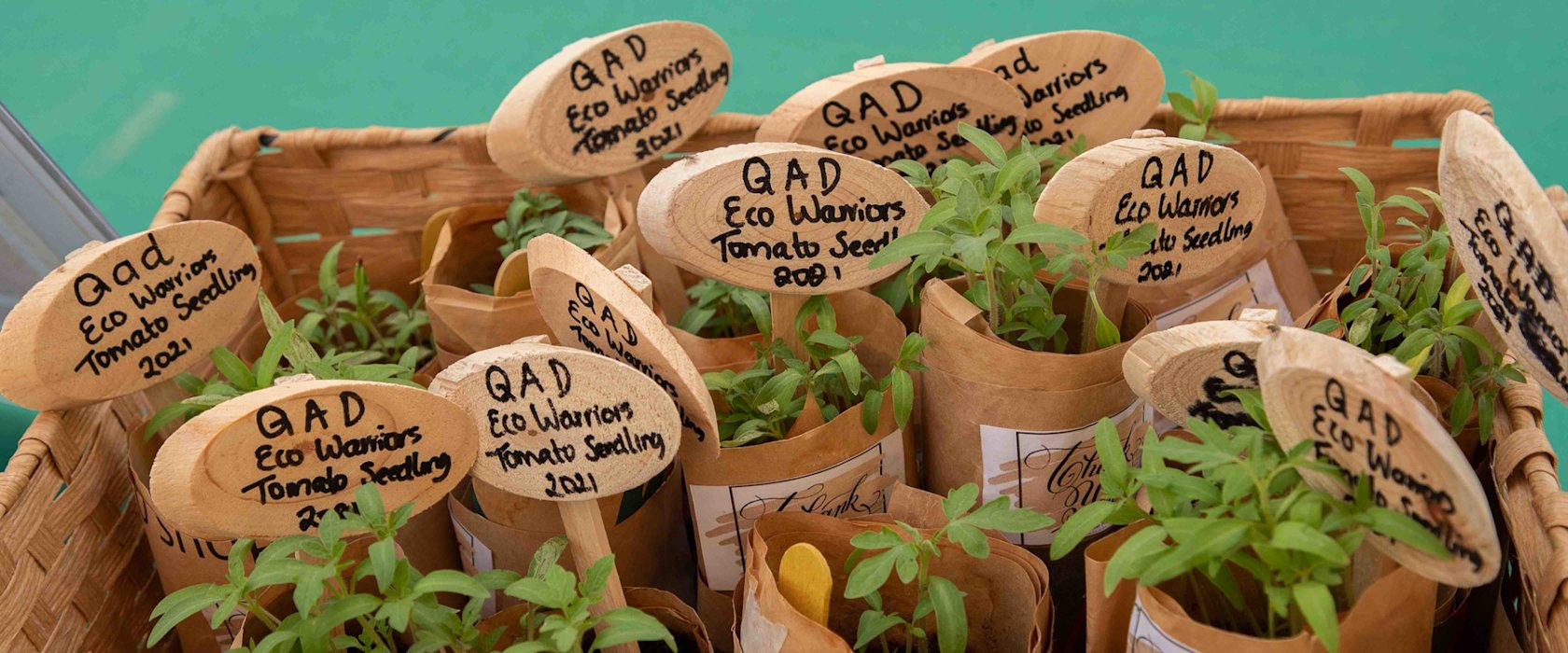 QAD Primary and QLA hoist green flags as they become Eco-Schools