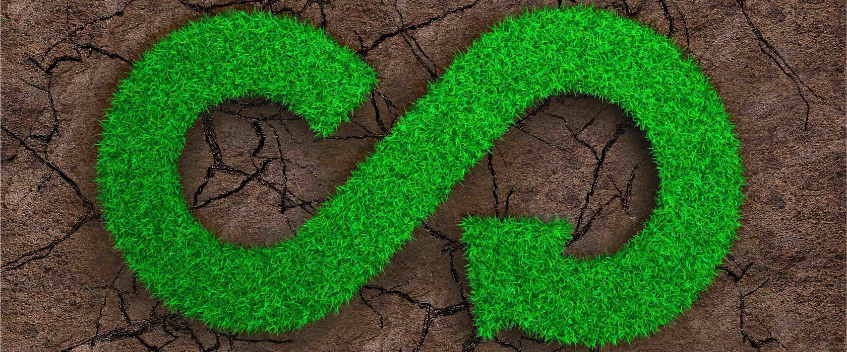 Road to a regenerative world explored at QF’s Education City Speaker Series