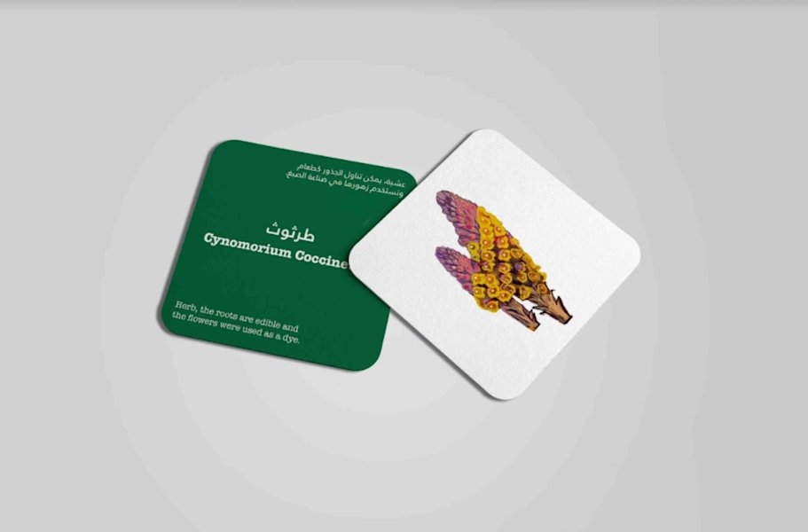 ‘Preserve’ is a card game which match cards of animals, plants, or historical places in Qatar with their correct name to help children discover Qatar’s culture and heritage - QF - 12