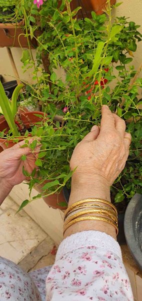 I cannot forget the shrapnel embedded in the walls - QF - 05