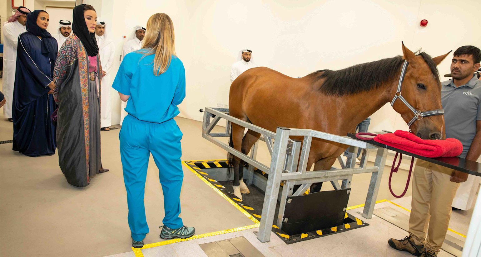 HH EVMC Opening - 011