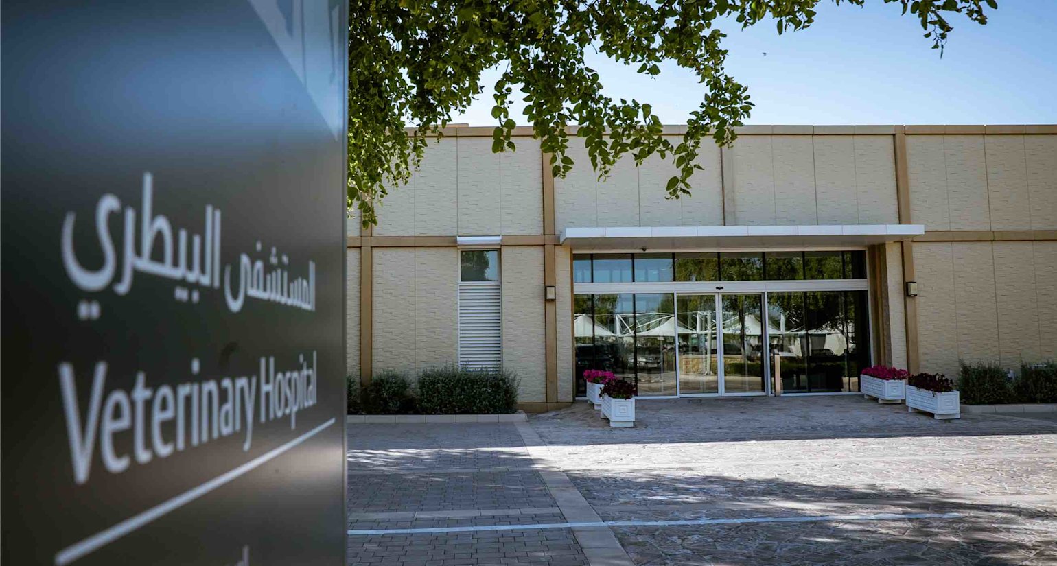 EVMC Equine Legacy - 01