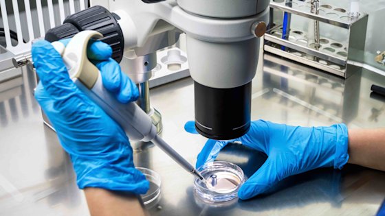 Viacheslav Lopatin - Laboratory - testing -medical - bio - Lab - Teaser