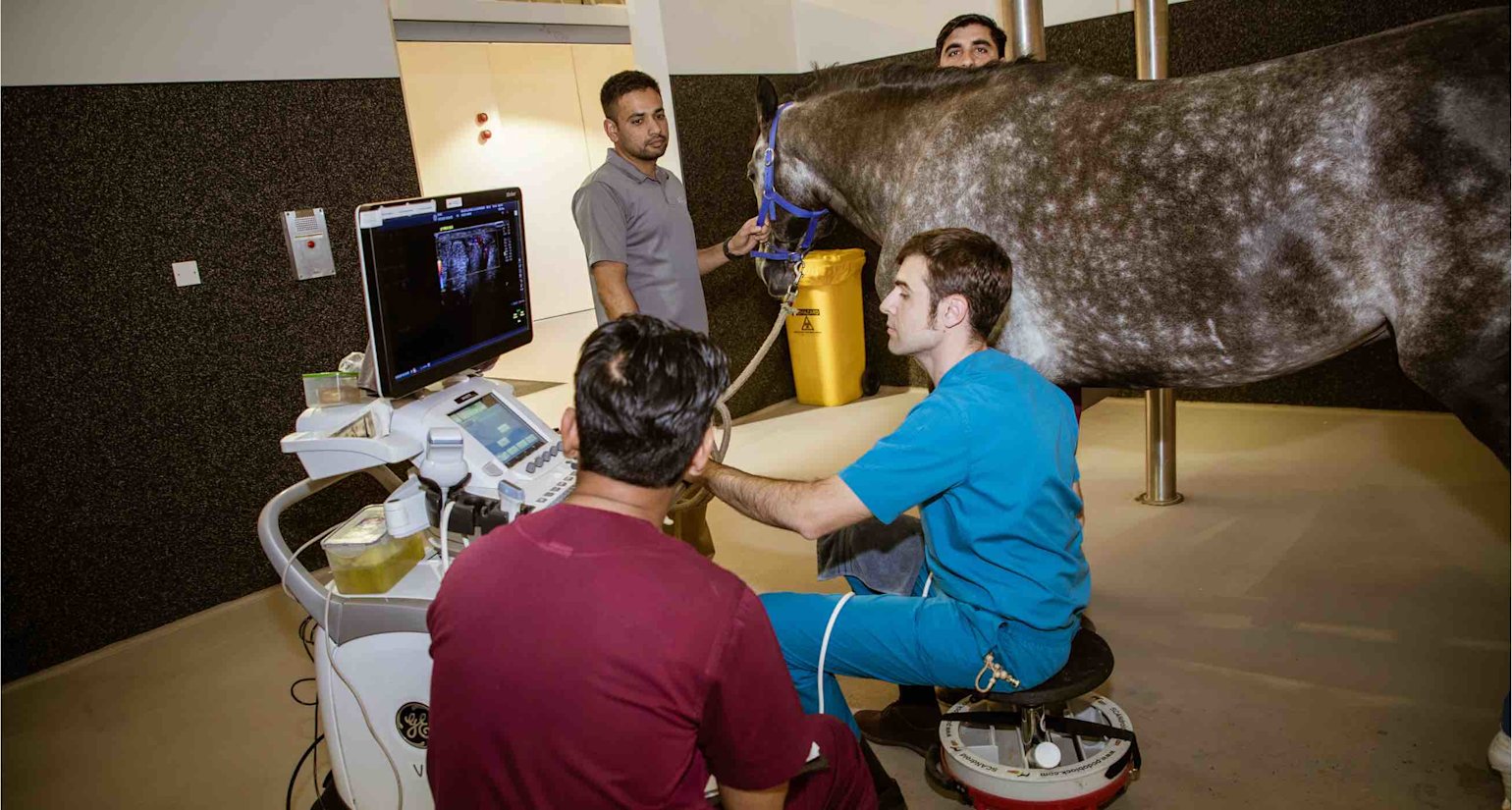 HH EVMC Opening - 01