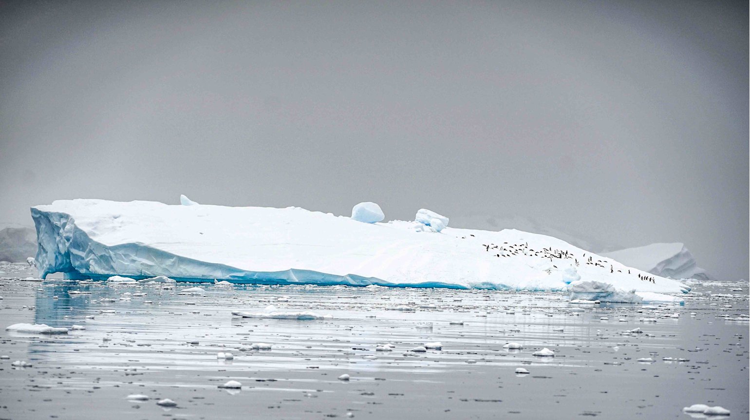 QatarDebate-organized tournament to explore environmental issues through the eyes and voices of youth - QF - Teaser - REUTERS - Alexandre Meneghini