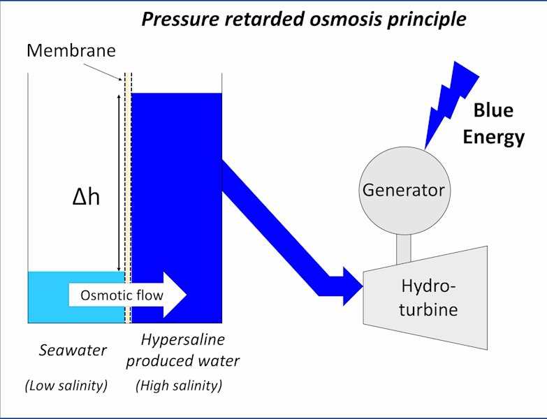 Blue Energy - QF Expert says - 4
