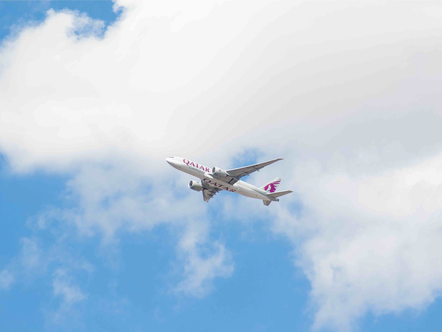 Cap - BlackFarm - flight - flying - 04