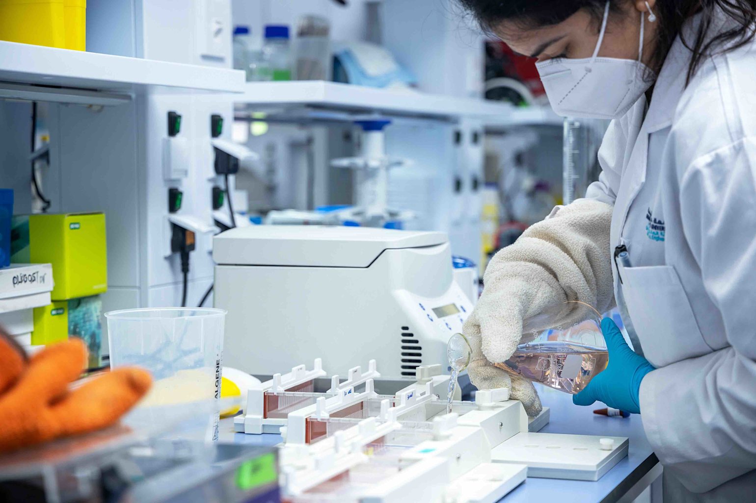 QF launches 25th anniversary scholarships to open up new educational paths - qf - 02