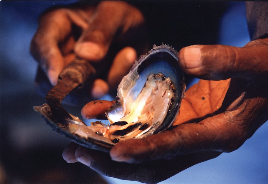 ABO034 - Pearling