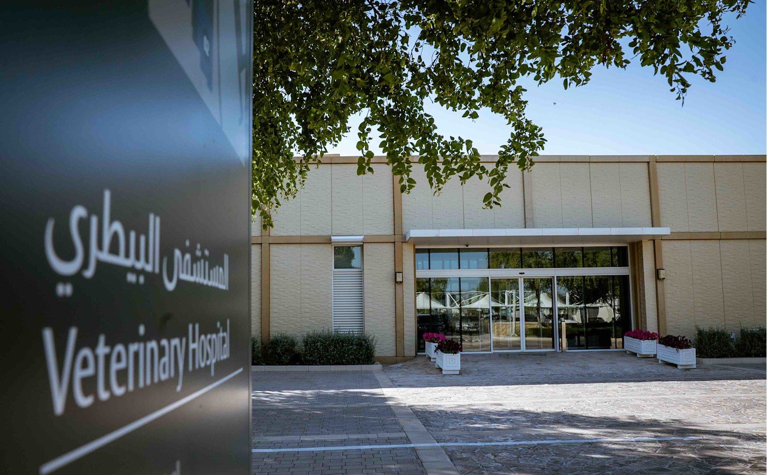 Equine Veterinary Medical Center is to begin overseeing the ethical component of animal research - qf - 03