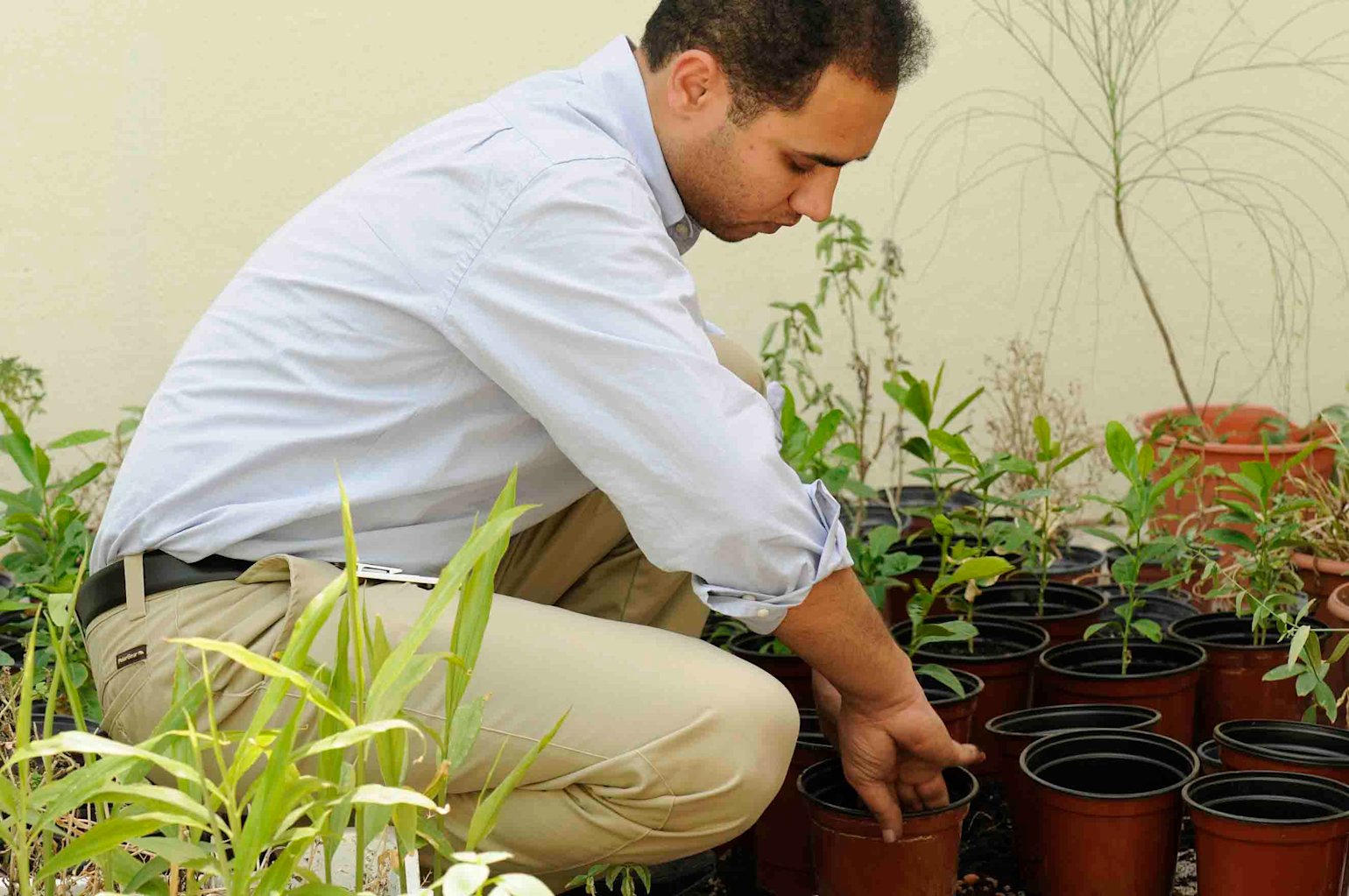 Mohamed Hassona, a horticulture expert, Qur’anic Botanic Garden