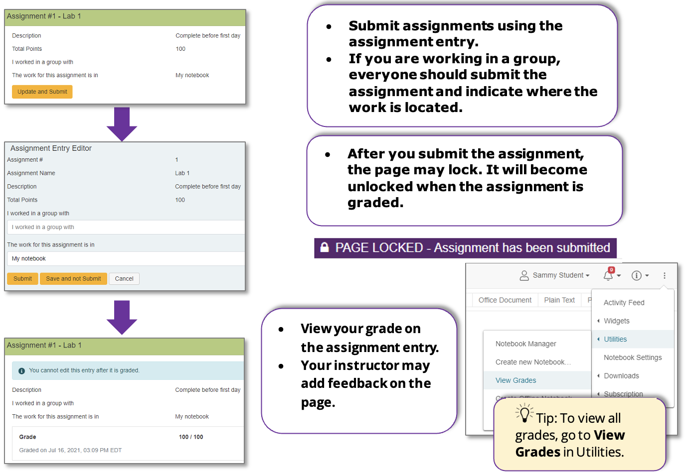 Education Submit Assignments View Grades