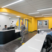 Tekstur TD Garden Boston - D1 Ebony