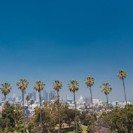 Is California good for international students? This image shows palm trees outside universities in California state. International students can apply to study in California with Shorelight.