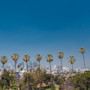 Is California good for international students? This image shows palm trees outside universities in California state. International students can apply to study in California with Shorelight.