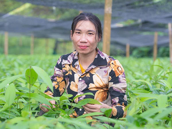 An Asian female with dark hair. She wears a patterned shirt and is standing in a field of large plants.