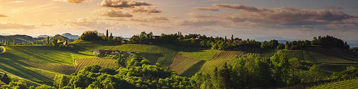 Produkte aus der Steiermark online kaufen - shöpping.at