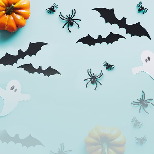 Halloween Deko: Kürbisse, Spinnen und Fledermäuse