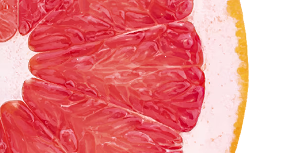 Gasteiner Grapefruit online bestellen - shöpping.at