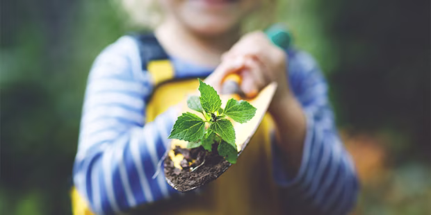 Gärtnern mit Kindern - shöpping.at