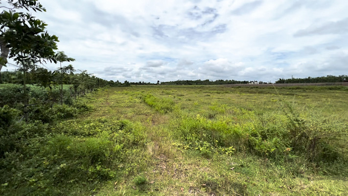 Photo 1 of Bình Trung 1,5 ha