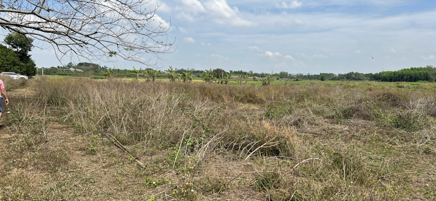 Photo 1 of Long Tân 3,5 ha