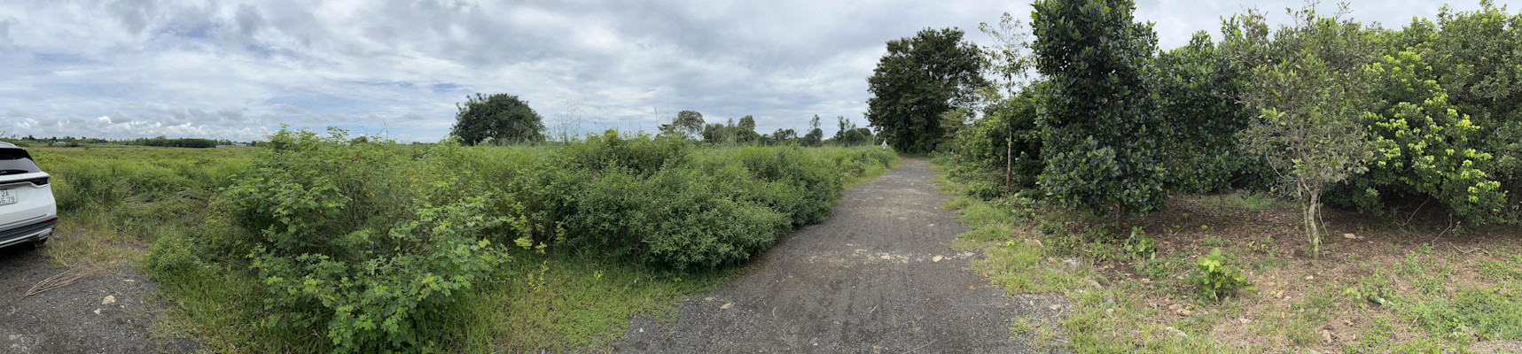 Photo 2 of Long Tân 3,5 ha