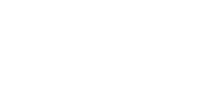 Dubai Sports Council Logo Tier 2