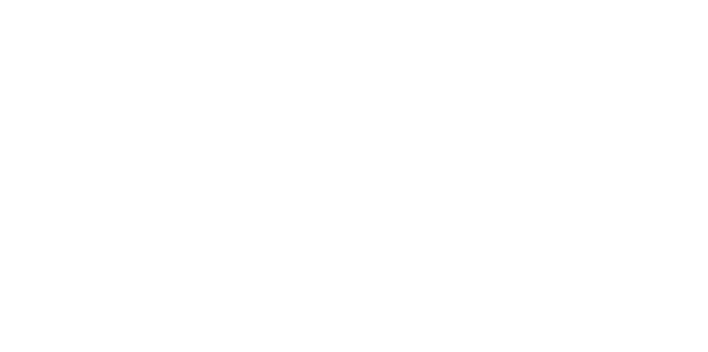 Navy Pier Logo White - Chicago Tier 1
