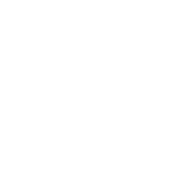 Otautahi Christchurch Logo White - New Zealand Tier 1