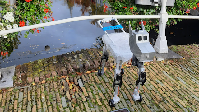 Selin Ornek interview: A young maker who loves dogs, robots and Star Wars