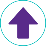 Purple arrow pointing up