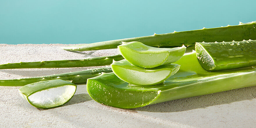 Beneficios-del-aloe-vera-y-la-almendra-para-la-piel-de-los-bebes-interna01