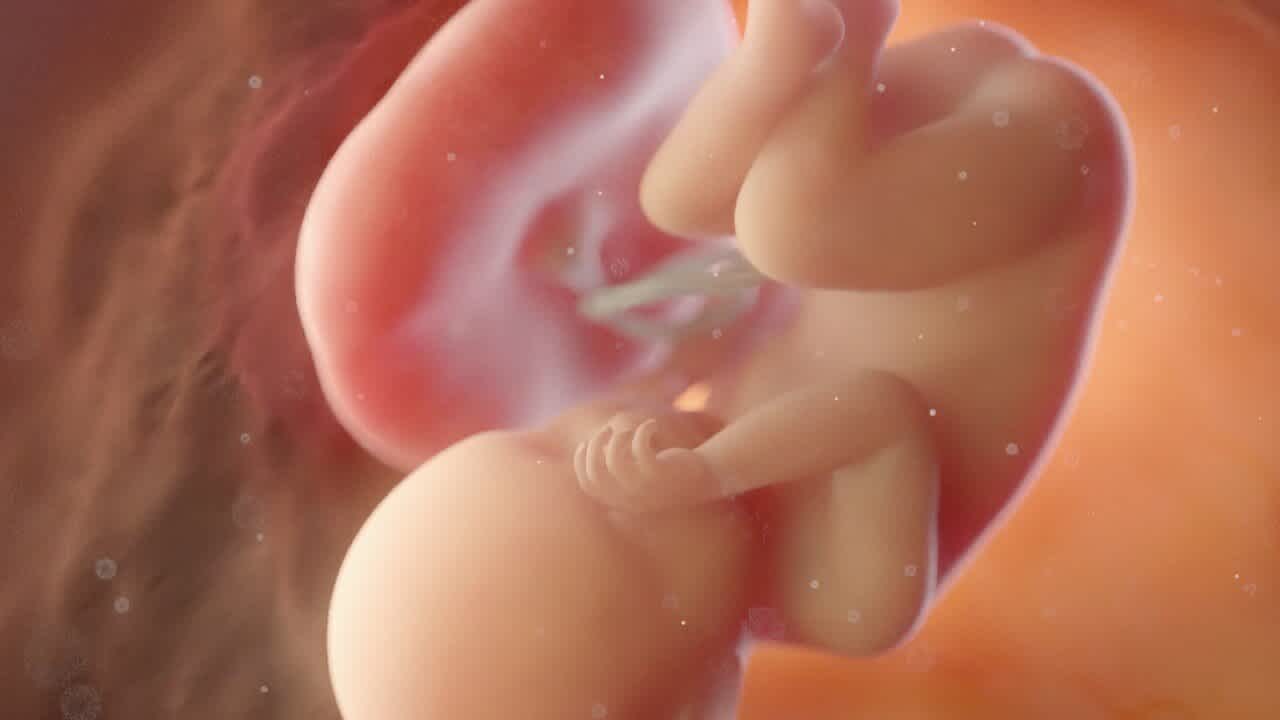 Semana 38 de embarazo