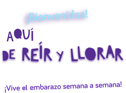 Descripción en embarazo Pequeñín