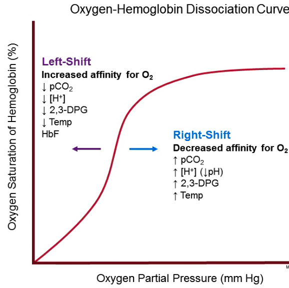 oxygen-hemoglobin dissociation curve