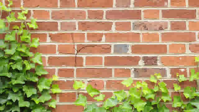 Tutorial - Les murs - Comment réparer une fissure dans une façade en briques ? - Thumbnail