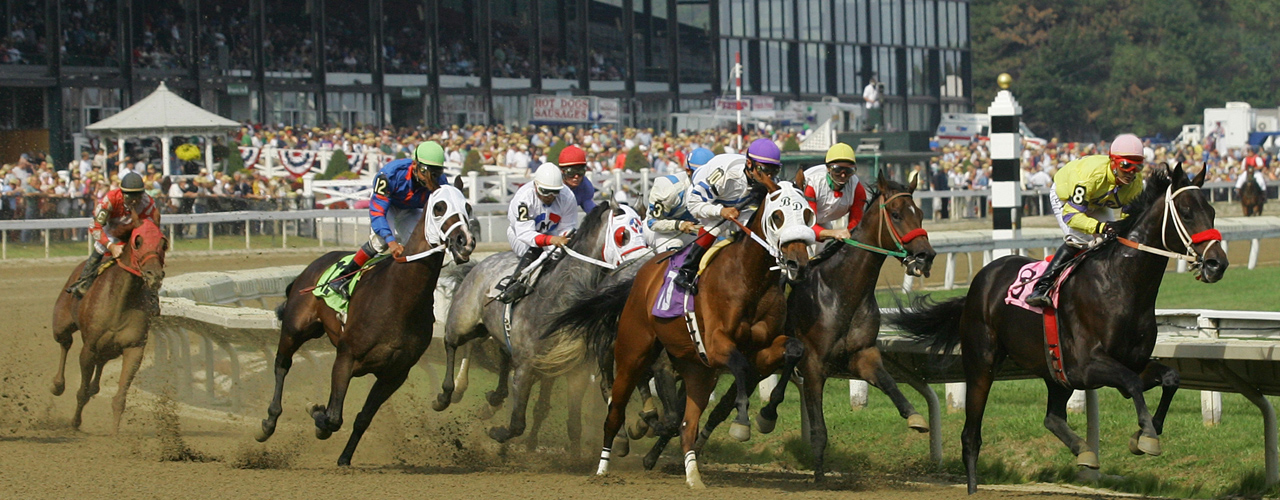 horse-banner