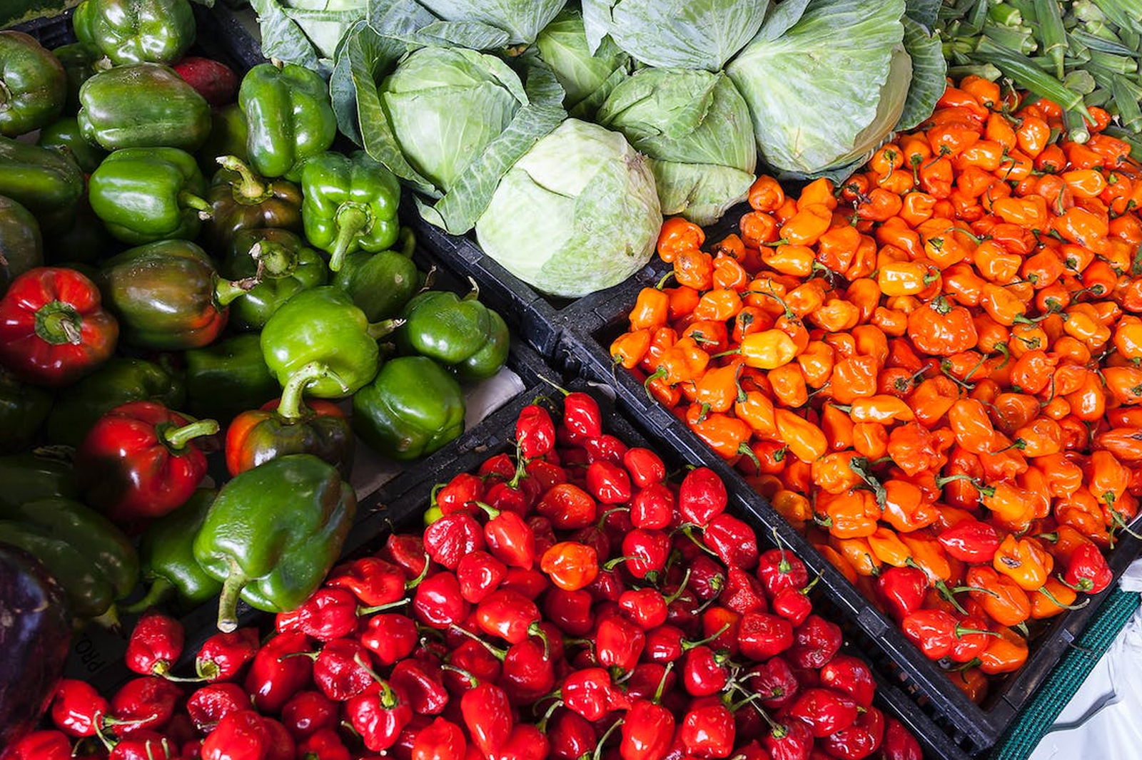 Close-up of four crates of cabbages, peppers, and chilis.