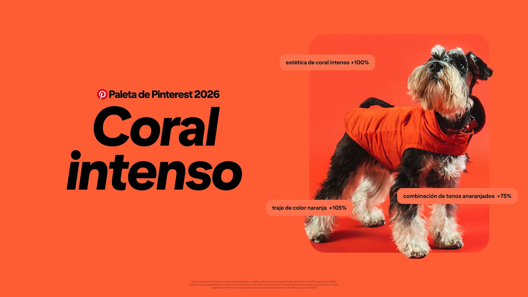 Un fondo coral intenso y llamativo con un gran texto negro que dice “Pinterest Palette 2026 Coral intenso”.
