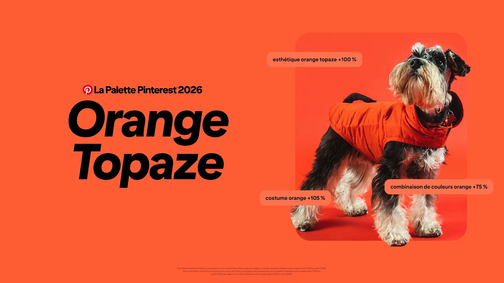 Un fond orange vif avec un grand texte noir indiquant « La Palette Pinterest 2026 Orange Topaze ». À droite, un petit chien noir et blanc, debout et regardant légèrement vers le haut, porte une doudoune orange éclatante devant un décor orange.