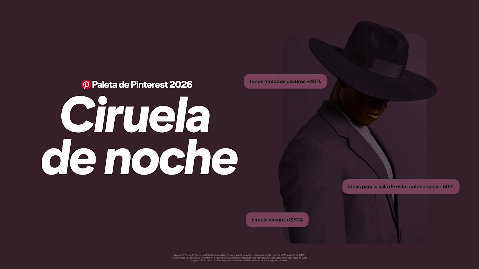 Un fondo de color ciruela intenso con texto blanco grande que dice "Pinterest Palette 2026 Plum Noir". A la derecha, una persona vestida con un traje color ciruela oscuro y un sombrero de ala ancha mira hacia abajo, parcialmente en la sombra.