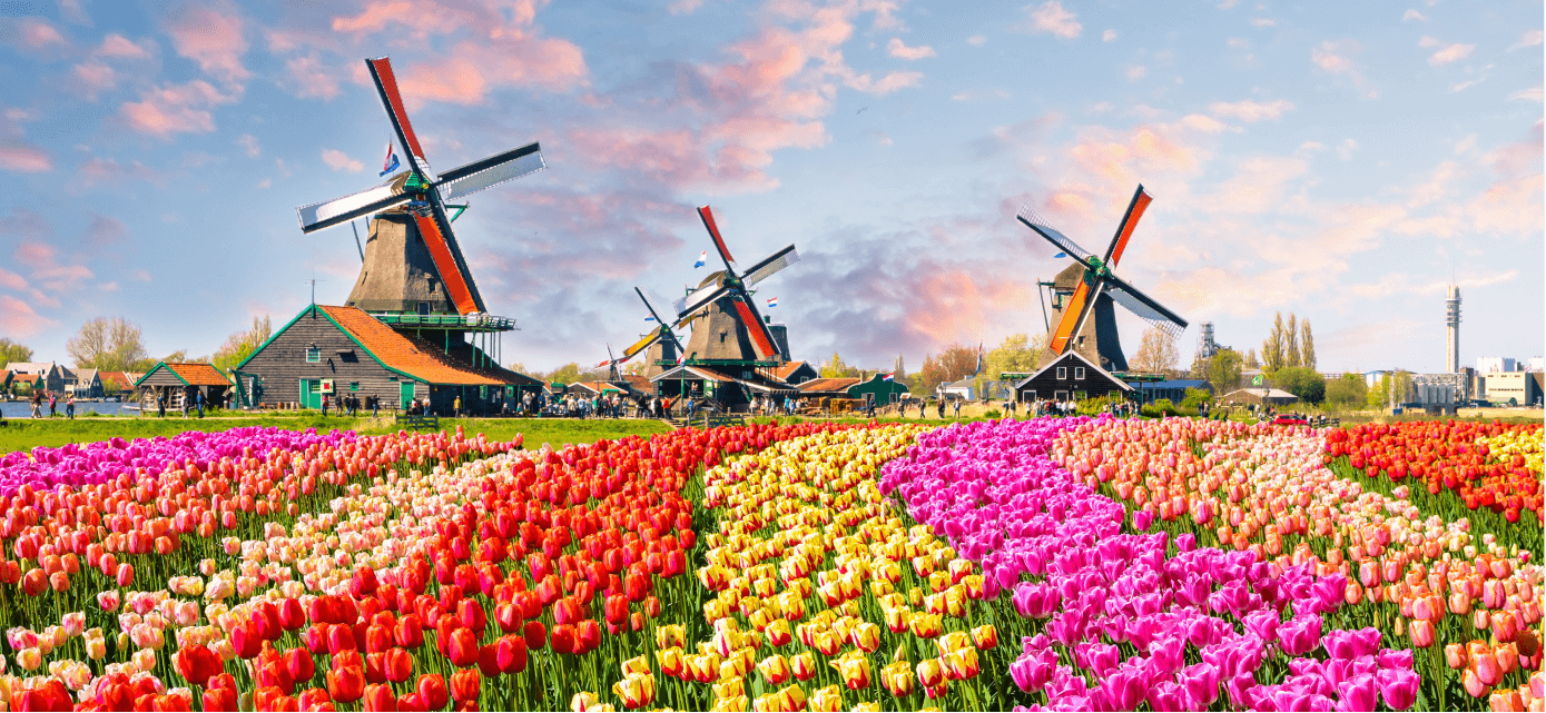 Netherlands