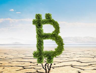 The Environmental Effects of Proof-of-Work Consensus Protocols