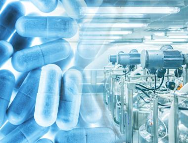 The US Pharmaceutical Industry