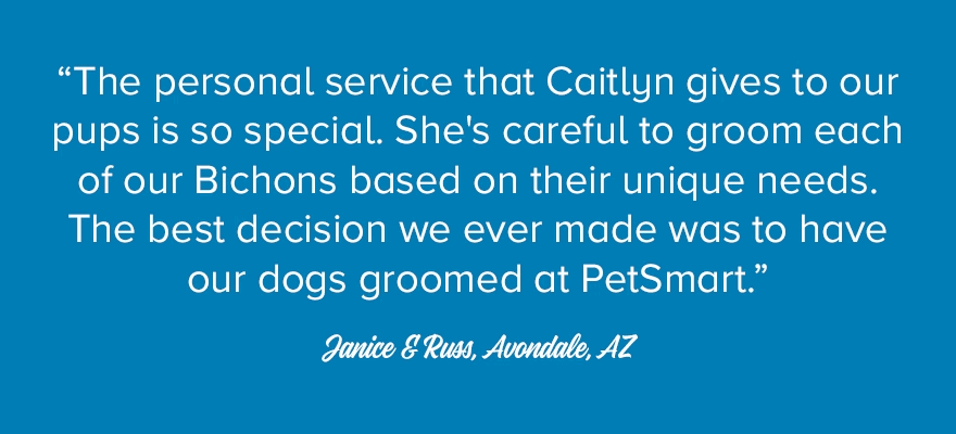 grooming  grooming salon making dogs & cats look great is our